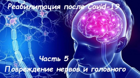 Реабилитация после Covid-19. Часть 5: Повреждение нервов и головного мозга